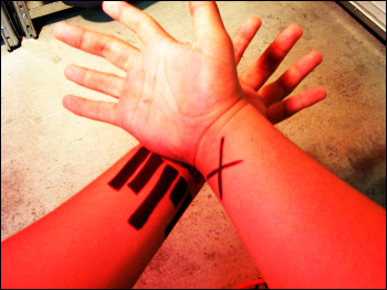[http://www.mellowdrone.com/images/reppp.jpg]